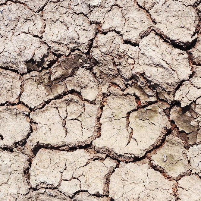 Dry